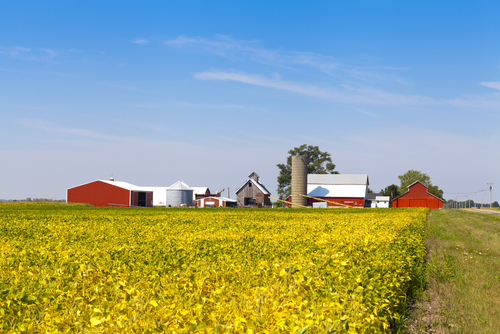 Real Estate Geo Farming