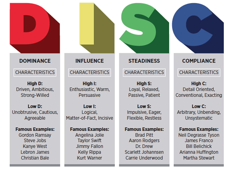 DISC meaning